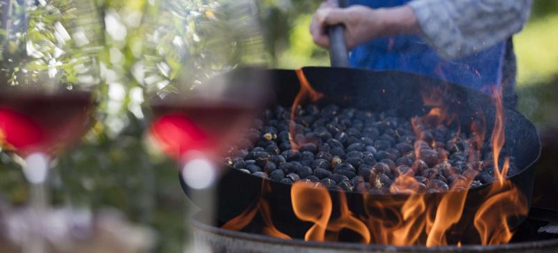 Herfstplezier met Törggelen bij de Tannenhof in Latsch